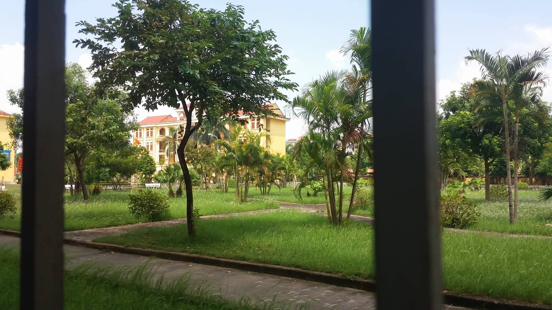 Bạn muốn biết gì về thầy cô đội tuyển?
