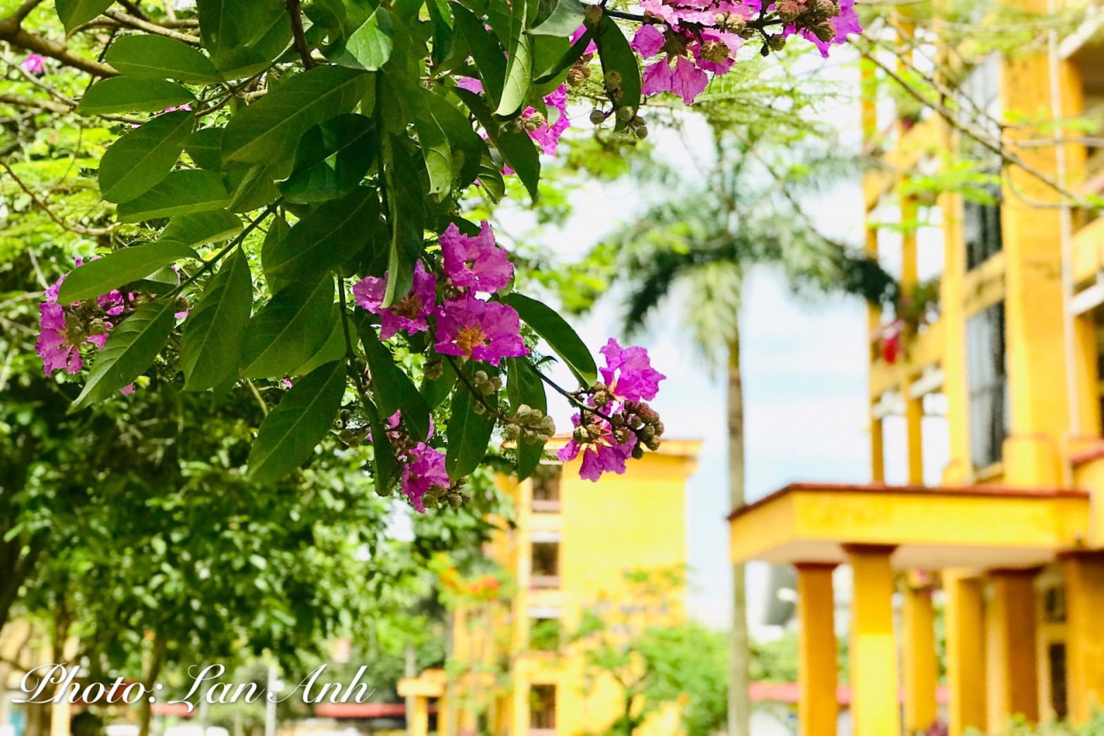 [BDT 04] Tản mạn trước sân trường