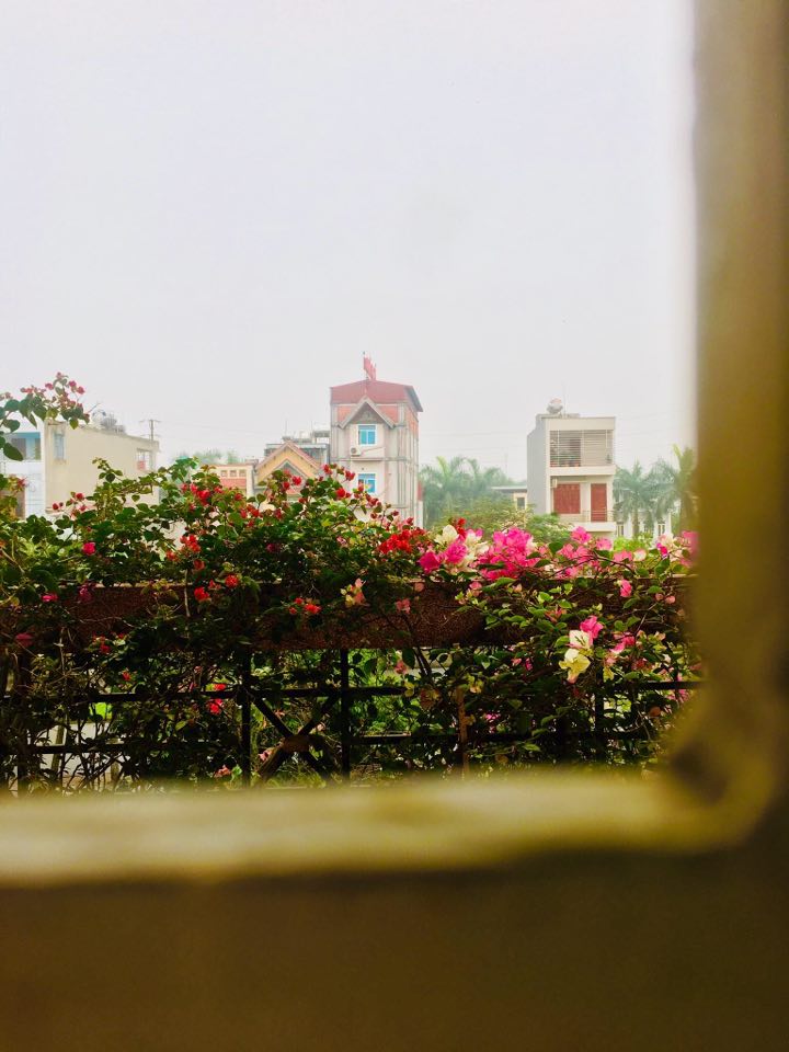 [BDT 22] Hoài niệm…hạ cuối