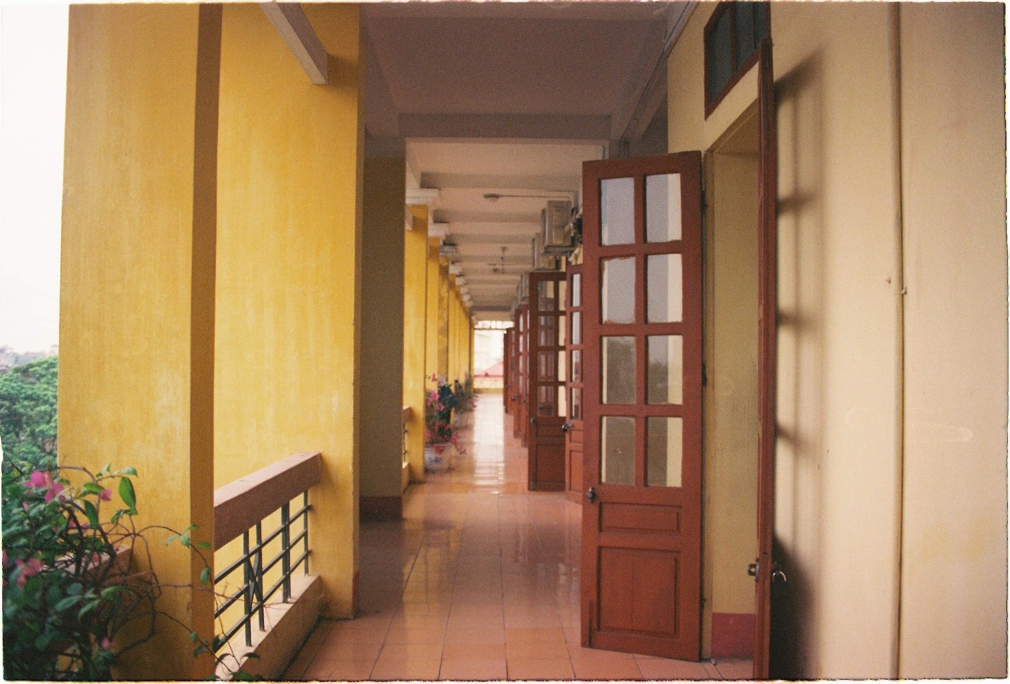 ANH1