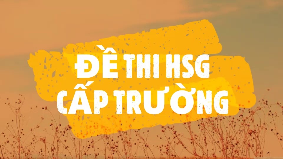 Đề thi học sinh giỏi cấp trường - Năm học: 2021-2022