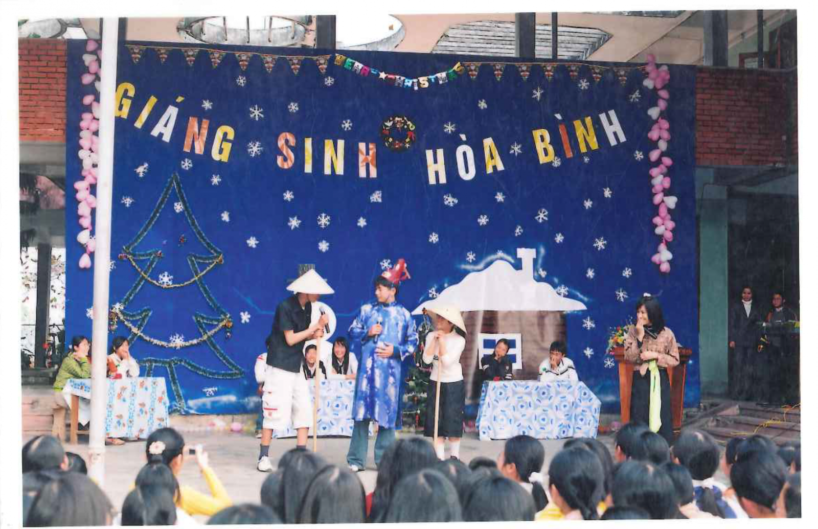 ảnh 6