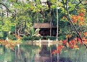Kỷ niệm 40 năm ngày mất của Chủ tịch Hồ Chí Minh